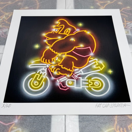 DK Rider Print, 2025